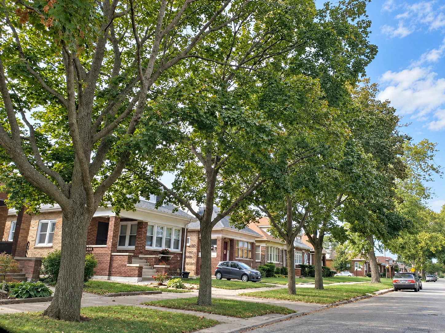AI-enhanced SUBCO archive photo of a tree-lined residential block with brick bungalows